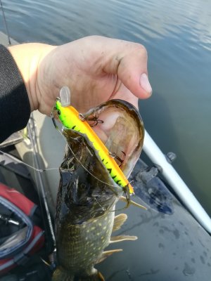 IMG_20190928_102943.jpg