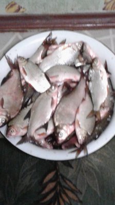 20190928_194134.jpg