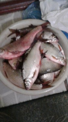 20190928_204429.jpg
