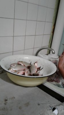 20190928_205907.jpg