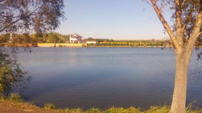 IMG_20191013_131233[1].jpg
