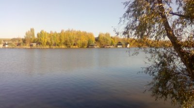 IMG_20191013_131301[1].jpg