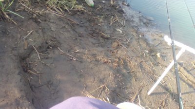 IMG_20191020_143048[1].jpg