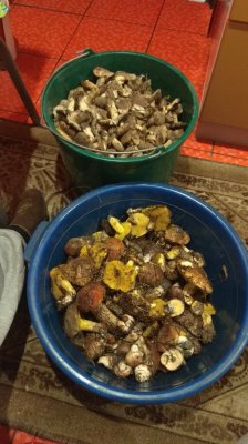 IMG_20191025_181941.jpg