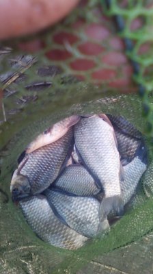 IMG_20191026_153618[1].jpg