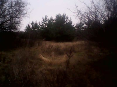 IMG1286A.jpg