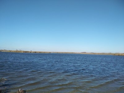 IMG_20191030_123102.jpg