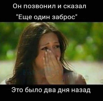 Фотка.jpg