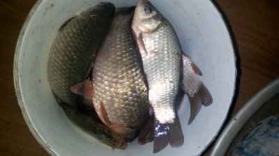 IMG_20191108_200320[1].jpg