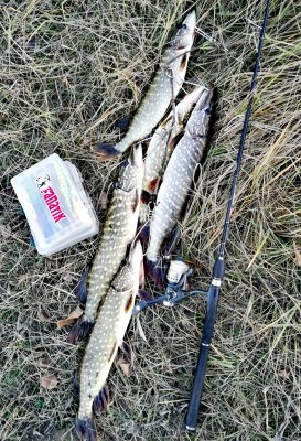 IMG_20191110_162224.jpg