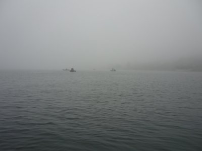 P1170020.JPG
