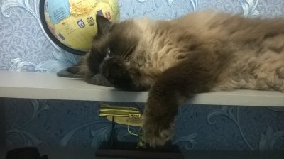 WP_20180812_001.jpg