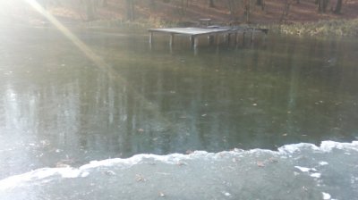 IMG_20191124_111516[1].jpg