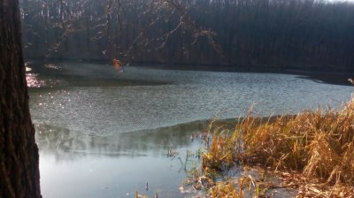 IMG_20191124_114021[1].jpg