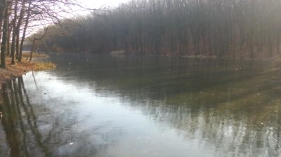 IMG_20191124_112327[1].jpg
