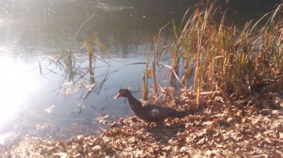 IMG_20191124_114146[1].jpg