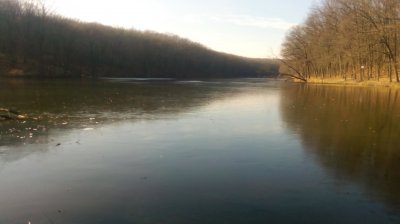 IMG_20191124_115429[1].jpg