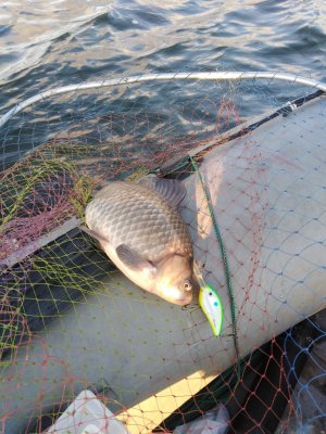 IMG_20191201_145719[1].jpg