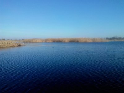 IMG_20191219_110447293.jpg