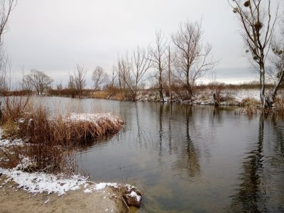 IMG_20191230_095559.jpg