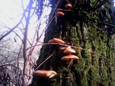 IMG0982A.jpg