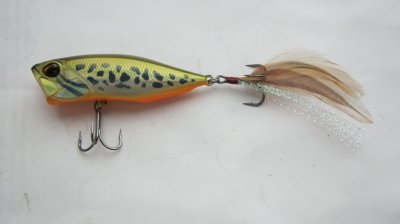 IMG_4346.JPG