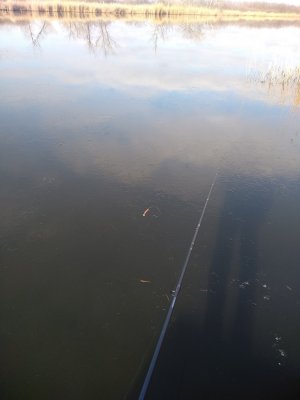 IMG_20200115_110125.jpg