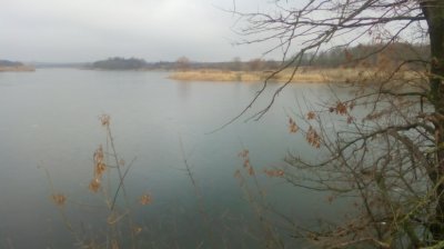 IMG_20200116_111902[1].jpg