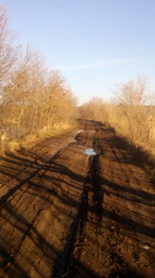 IMG_20200116_142405[1].jpg