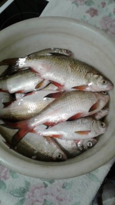 20200116_232811.jpg
