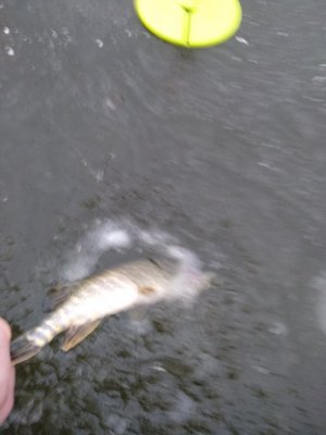 IMG_20200121_075833_1.jpg