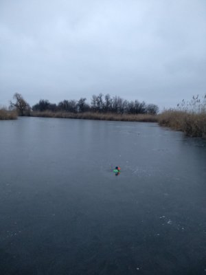IMG_20200121_073751.jpg