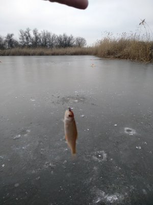 IMG_20200121_082502.jpg
