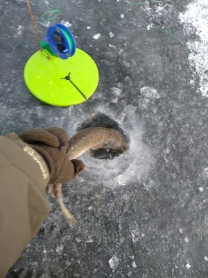 IMG_20200124_083306.jpg