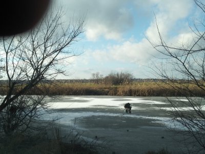 IMG_20200124_134211.jpg