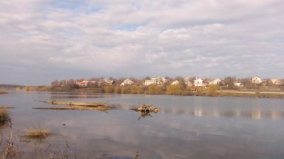 IMG_20200202_121321[1].jpg