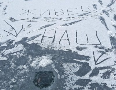 живец.jpeg