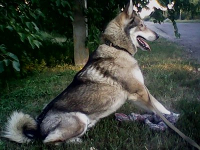 IMG0875A.jpg
