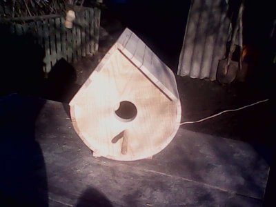 IMG1330A.jpg