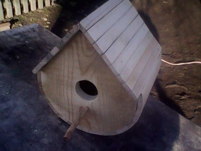 IMG1332A.jpg