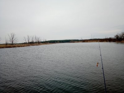IMG_20200223_110744.jpg