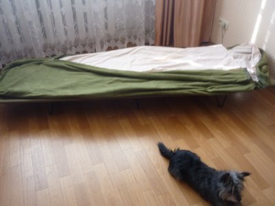 P1170211.JPG