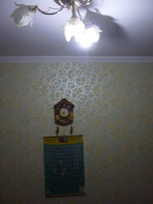 P1170235.JPG