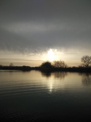 IMG_20200306_073216.jpg