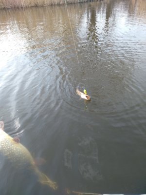 IMG_20200306_090614.jpg