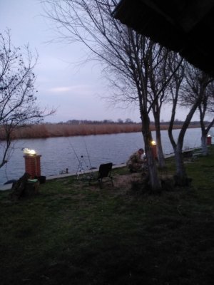 IMG_20200311_175955.jpg