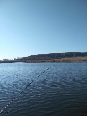 IMG_20200318_150841.jpg