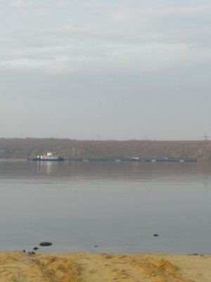 IMG_20200330_070239.jpg