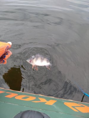 IMG_20200330_100034.jpg
