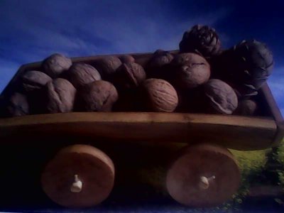 IMG1348A.jpg